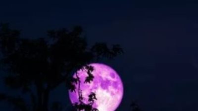 ظاهرة القمر الوردي تفتتح الموسم الفلكي لعام 2026.. دلالات التسمية وطقوس الربيع