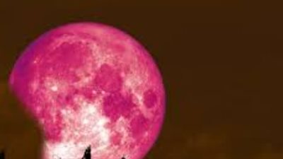 الدليل الكامل لمتابعة القمر الوردي 2026: توقيت الظهور وكيفية رصده بالعين المجردة