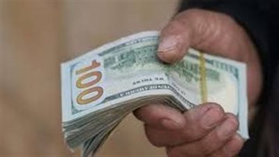 السياسة النقدية والعملة: استقرار الدولار في 