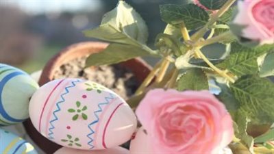 احتفالات ربيعية منتظرة.. تفاصيل عطلة عيد شم النسيم وأجندة العطلات الرسمية