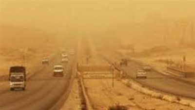 عواصف أم ربيع مستقر؟ منار غانم تحسم الجدل حول الأنباء المتداولة عن طقس مصر