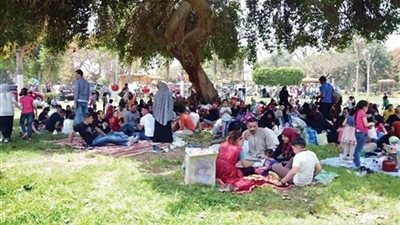 رسميًا.. تحديد يوم إجازة شم النسيم 2026 في مصر للقطاعين الحكومي والخاص