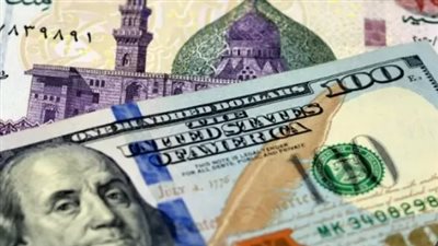 استقرار الدولار في البنك المركزي المصري اليوم وارتياح في أوساط المستوردين والأسواق