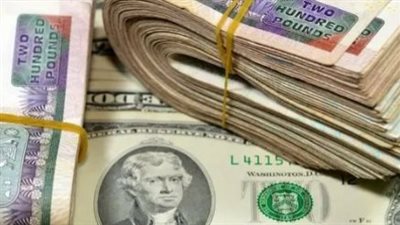 الأخضر يتشبث بمكاسبه.. قراءة في استقرار أسعار صرف الدولار بالبنوك المصرية