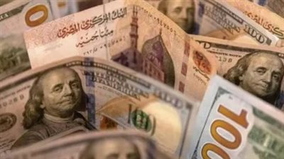 البنك المركزي يعلن استقرار الدولار.. تفاصيل أسعار الشراء والبيع اليوم 12 أبريل