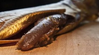 قبل فوات الأوان.. وزارة الصحة تحذر من الإفراط في الرنجة وتكشف مخاطرها الصحية