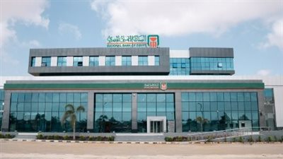 خارطة الادخار في مصر 2026.. الشهادات البلاتينية والذهبية تتصدر المشهد المصرفي