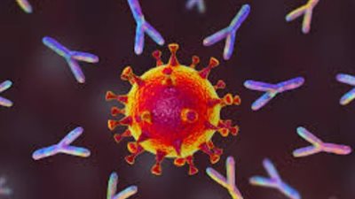 بين الارتباط والسببية.. دراسة حالة تبشر بتغيير جذري في بروتوكولات علاج أمراض المناعة