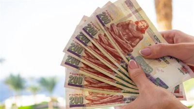 خطوات الاستعلام عن زيادة المعاشات وتفاصيل صرف شهر مايو 2026 عبر موقع الهيئة