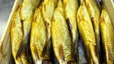 الصحة المصرية للمواطنين: توجهوا للمستشفى فورًا حال ظهور هذه الأعراض