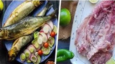 نصائح ذهبية لتناول الرنجة والفسيخ بأمان