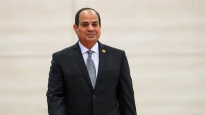 الرئيس السيسي يبحث مع رئيس فنلندا آفاق الشراكة الشاملة