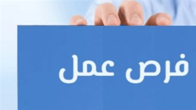 كيفية التقديم على وظائف وزارة العمل 2026.. دليلك الكامل للتخصصات والمحافظات