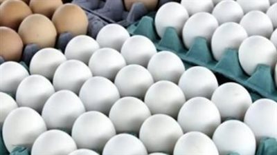 رئيس شعبة البيض: السوق يشهد فترات انخفاض غير مسلط عليها الضوء إعلاميًا