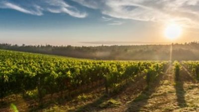 دليل المواطن لمواعيد الشروق والعمل بعد تقديم الساعة القانونية في جمهورية مصر