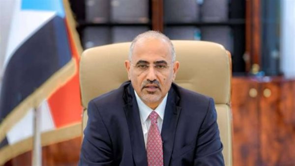 الضمانة الوطنية والركيزة الصلبة لمشروع استعادة الدولة