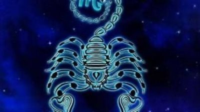 ذكاء العقرب في الميزان: كيف تجنبك مراجعة القرارات كوارث مهنية محققة؟