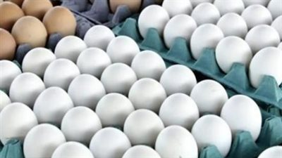 بكم كرتونة البيض اليوم؟ أسعار البيض الأبيض والأحمر والبلدي في المحلات التجارية