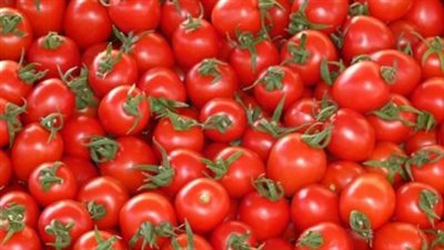 الطماطم بـ 22 جنيهًا: تحديثات أسعار السلع الغذائية الطازجة في أسواق محافظة الإسماعيلية