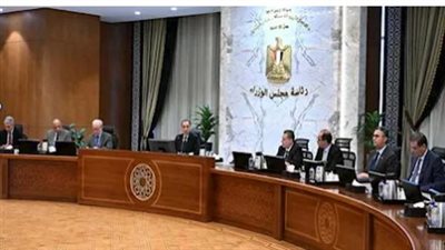 المتحدث باسم مجلس الوزراء يكشف تفاصيل إلغاء قرارات غلق المحلات وتمديد العمل بالمنزل