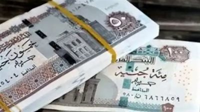 الحماية الاجتماعية للمتعطلين: كيف تدعمك الدولة ماديًا حتى تجد وظيفة جديدة؟