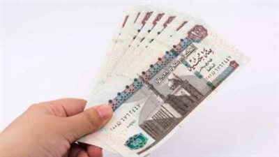 أمانك المادي بعد الفصل: شروط الحصول على تعويض البطالة لمدة 7 أشهر