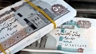 تحديث بيانات البطاقات التموينية: ضرورة تقنية لضمان استمرار الصرف