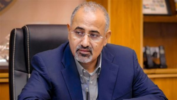 الريادة الدبلوماسية ونقل قضية الجنوب من الميدان إلى منصة الأمم المتحدة