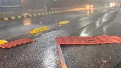 الأجواء الربيعية تسيطر على الإسكندرية: ارتفاع تدريجي في الحرارة يبدأ من منتصف الأسبوع