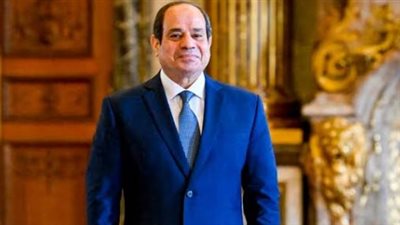 المتحدث الرسمي: الرئيس السيسي يثمن دعم المنظمة لخطط التنمية والنمو المستدام