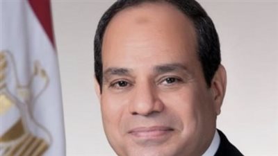 شراكة استراتيجية بالاتحادية.. محاور تعاون مصر مع منظمة التعاون الاقتصادي والتنمية