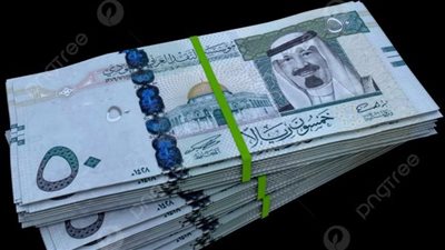 تحديثات أسعار الصرف: استقرار سعر الريال السعودي في البنك المركزي والبنوك المصرية