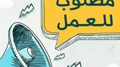 برواتب مجزية وخبرة محددة.. تفاصيل 25 فرصة عمل للسائقين في ميناء دمياط الدولي