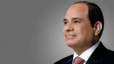 السيسي يعلن استهداف زراعة مليون فدان قمح بالدلتا الجديدة لسد الفجوة الاستيرادية