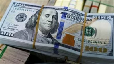 تعرف على سعر الدولار مقابل الجنيه فى البنك المركزى المصرى
