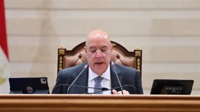 تفاصيل الجلسة العامة لمجلس النواب المصري المخصصة لدعم الاستقرار الشامل في الدولة الليبية الشقيقة