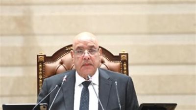 مجلس النواب يحيل حزمة مشروعات قوانين الرعاية البديلة والتأهيل الأسري الإلزامي للجان المختصة