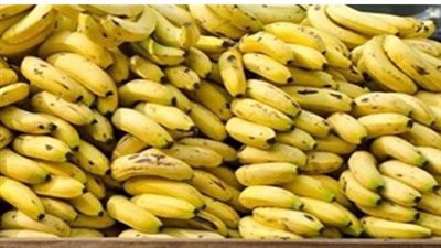 التقرير المالي للأسواق.. أسعار الموز المغربي والكيوي في محلات التجزئة وأسواق الجملة
