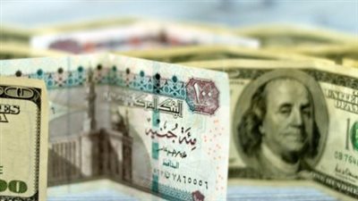 أسعار الدولار اليوم في البنوك المصرية.. تحديثات أسعار الصرف الرسمية بالقرش أمام الجنيه