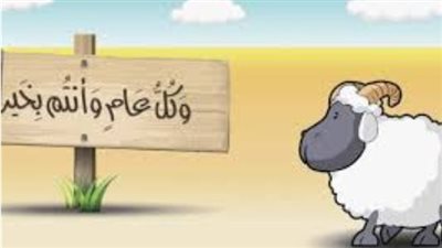 استعدادات مكثفة بمحافظة القاهرة: خطة طوارئ لاستقبال عيد الأضحى المبارك 2026