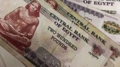 دليل البطاقات التموينية 2026: كيف تحصل على 800 جنيه إجمالي المنحة المتأخرة؟