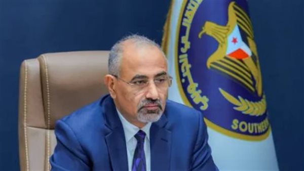 درع الجنوب الصلب في مواجهة آلة التضليل الإعلامي