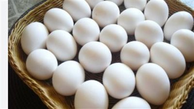 أسعار البيض الأبيض والبلدي اليوم