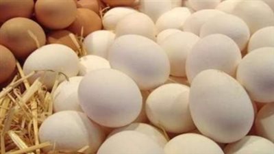 مؤشرات بورصة الدواجن اليوم الثلاثاء: تراجع أسعار الفراخ وتأثيرها على المواطن