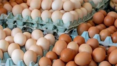 تعرف على سعر كرتونة البيض اليوم السبت 27 يونيو للمستهلك والجملة