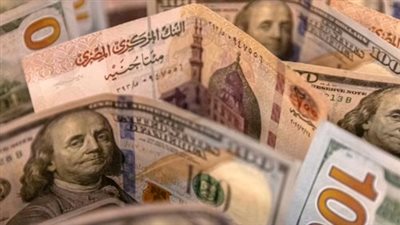 حالة من الهدوء في سوق الصرف: الدولار يحافظ على مستوياته أمام الجنيه