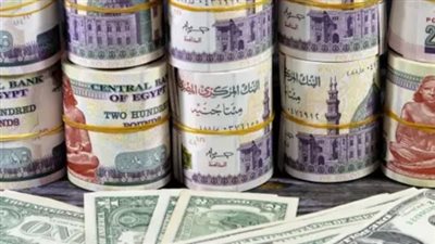 أسعار الدولار اليوم: حالة من الثبات في البنوك المصرية وسط ترقب الأسواق