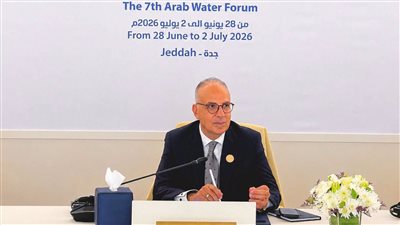 مصر تدعو لإنشاء قائمة عربية موحدة للمشروعات المائية القابلة للتمويل