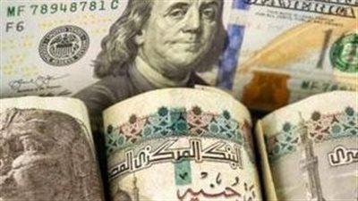 سعر الدولار اليوم: حالة من الثبات في البنوك المصرية ومصرف الإسكندرية