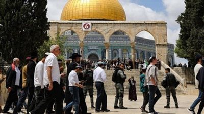 480 مستوطنًا يقتحمون المسجد الأقصى والاحتلال يشدد إجراءاته بالقدس